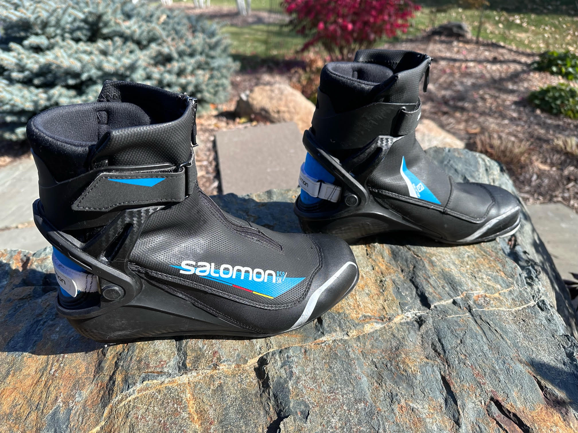 Salomon 1